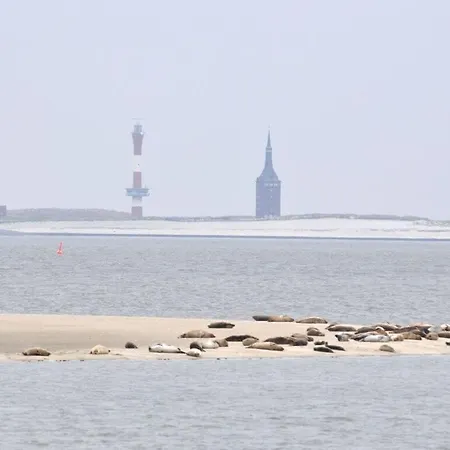 Strandfleh Modern Retreat Вангероге